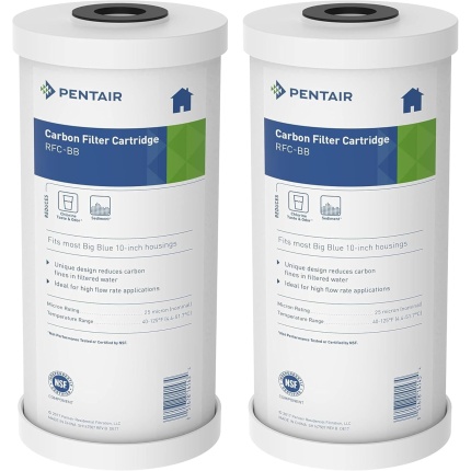 Pentair Pentek RFC-BB Big Blue 10" x 4.5" Carbon Water